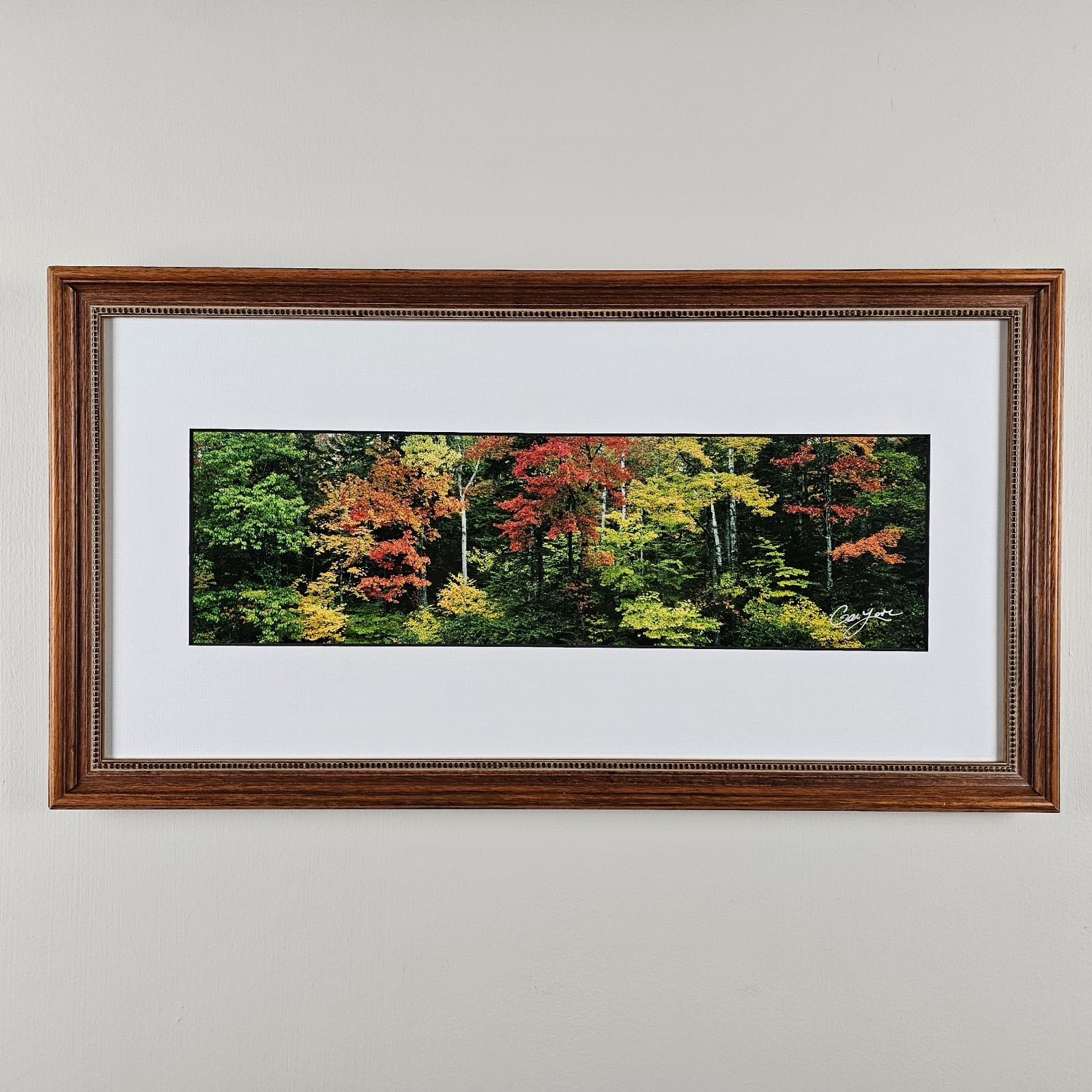 ART – Signed Gary Love Photograph 21.75×11.75 Framed Landscape Art – Maine Trees