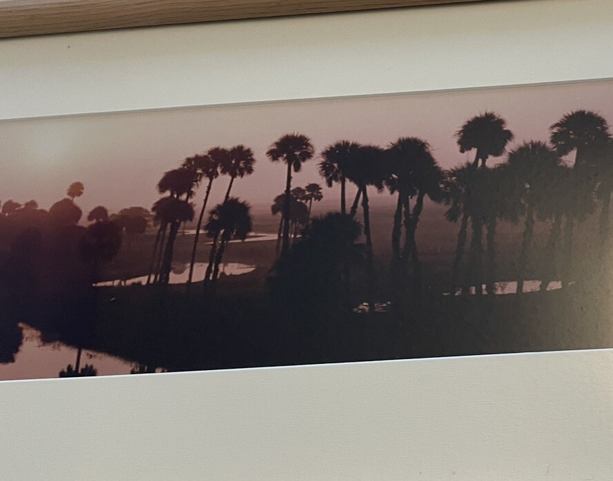 Panoramic Framed ECON Top Econlockhatchee River Florida Steve Vaughn 52:11’