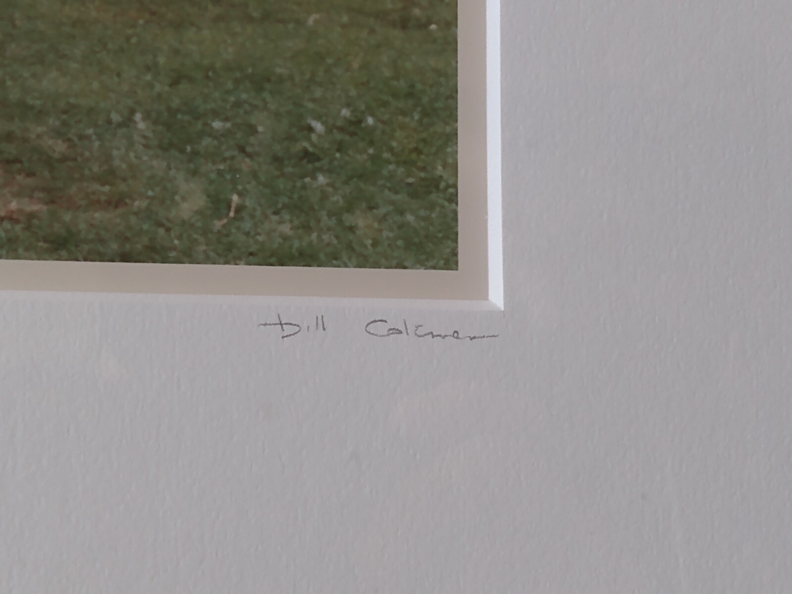 Bill COLEMAN PHOTOGRAPHY 2 framed photos.Signed.