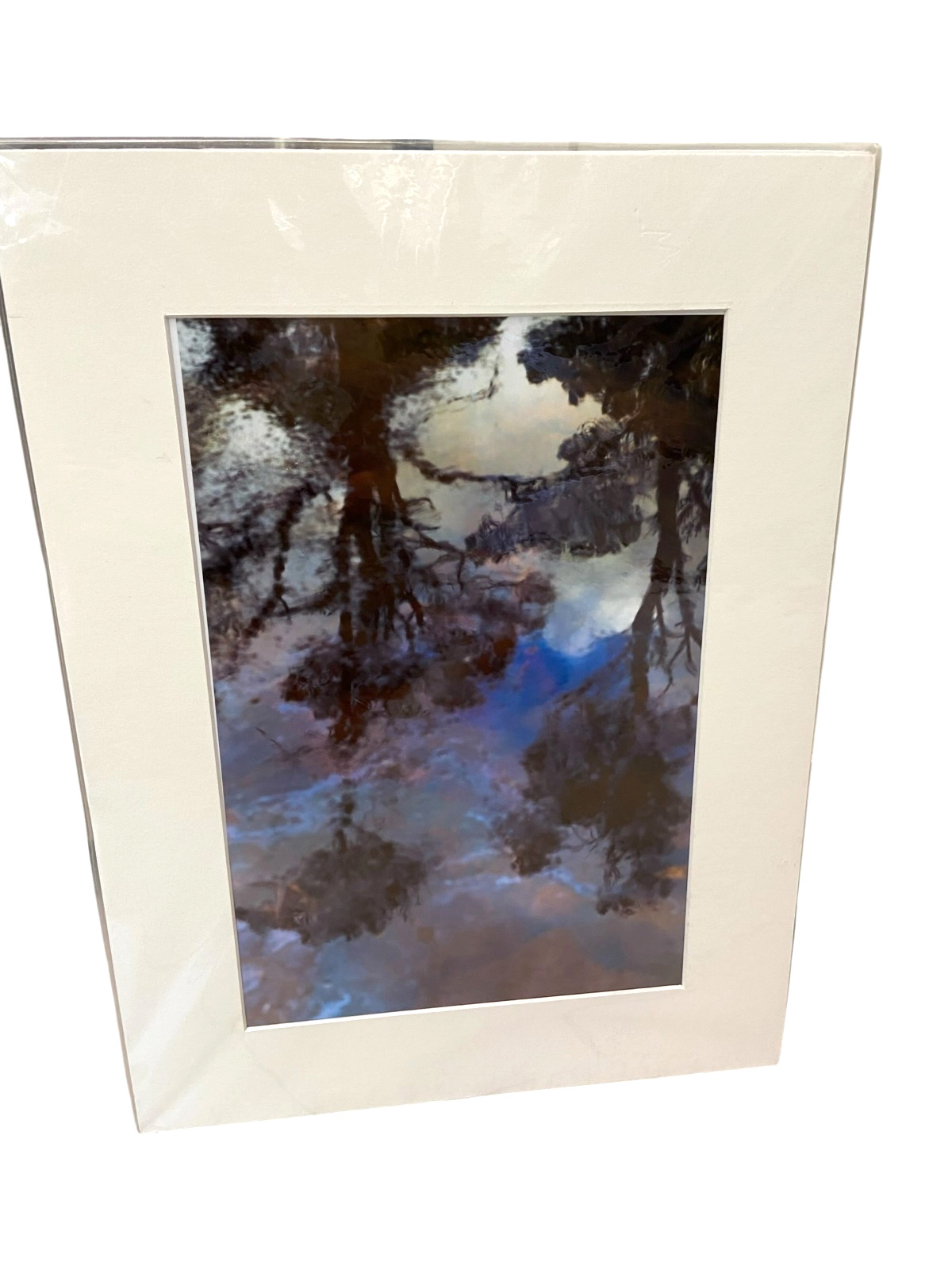 Adrian Jenkins Photo “Impressions” Matted 12″ x 16″ From Reflections Collection