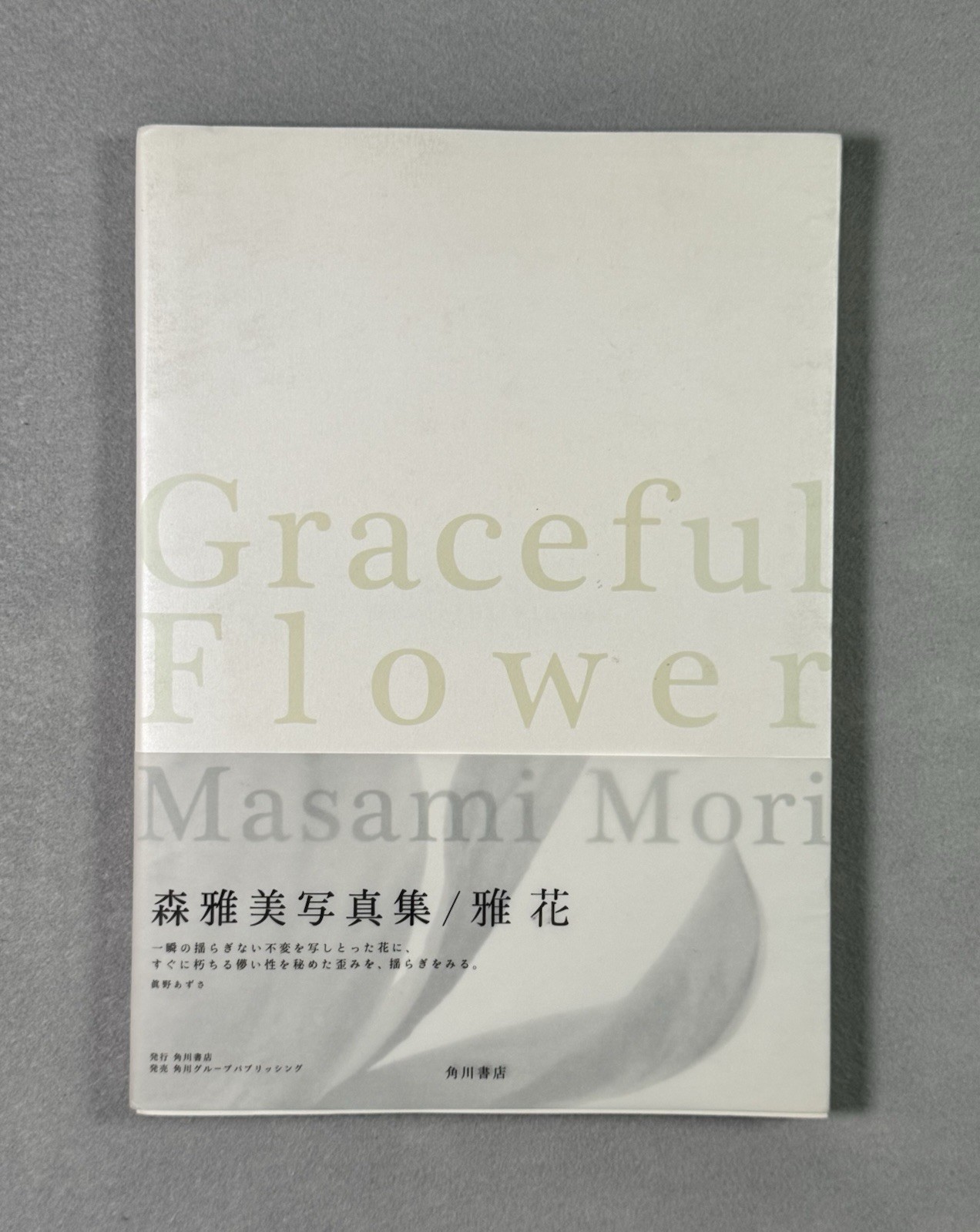 Masami Mori Graceful Flower Still Life Japanese Color Photograph