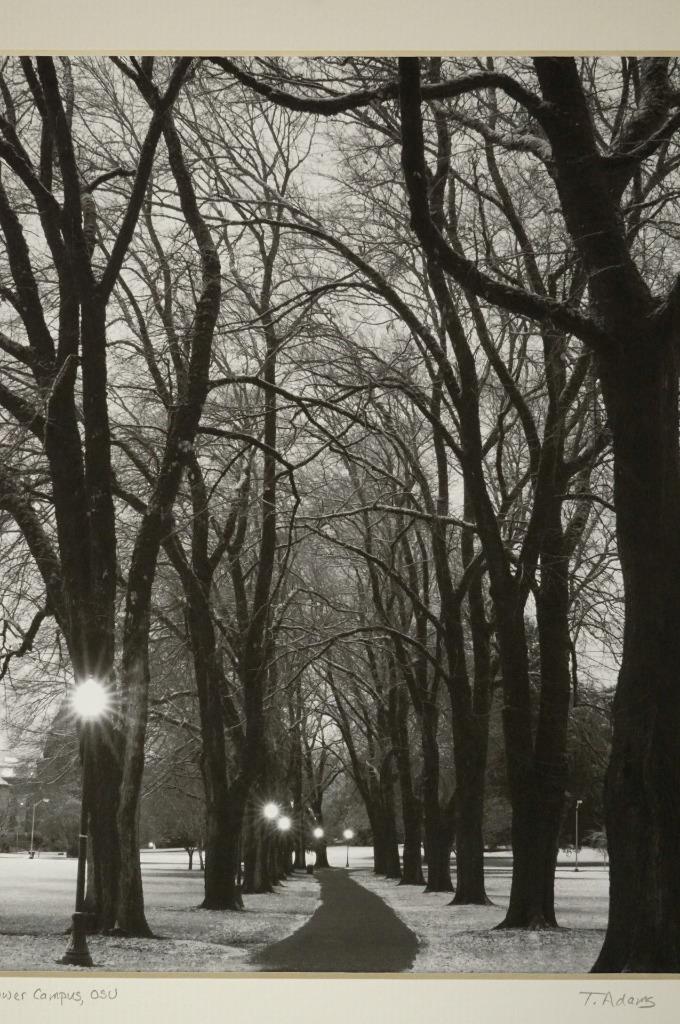 Tom Adams Photography OSU Oregon State University Lower Campus Matte Photo 11X14