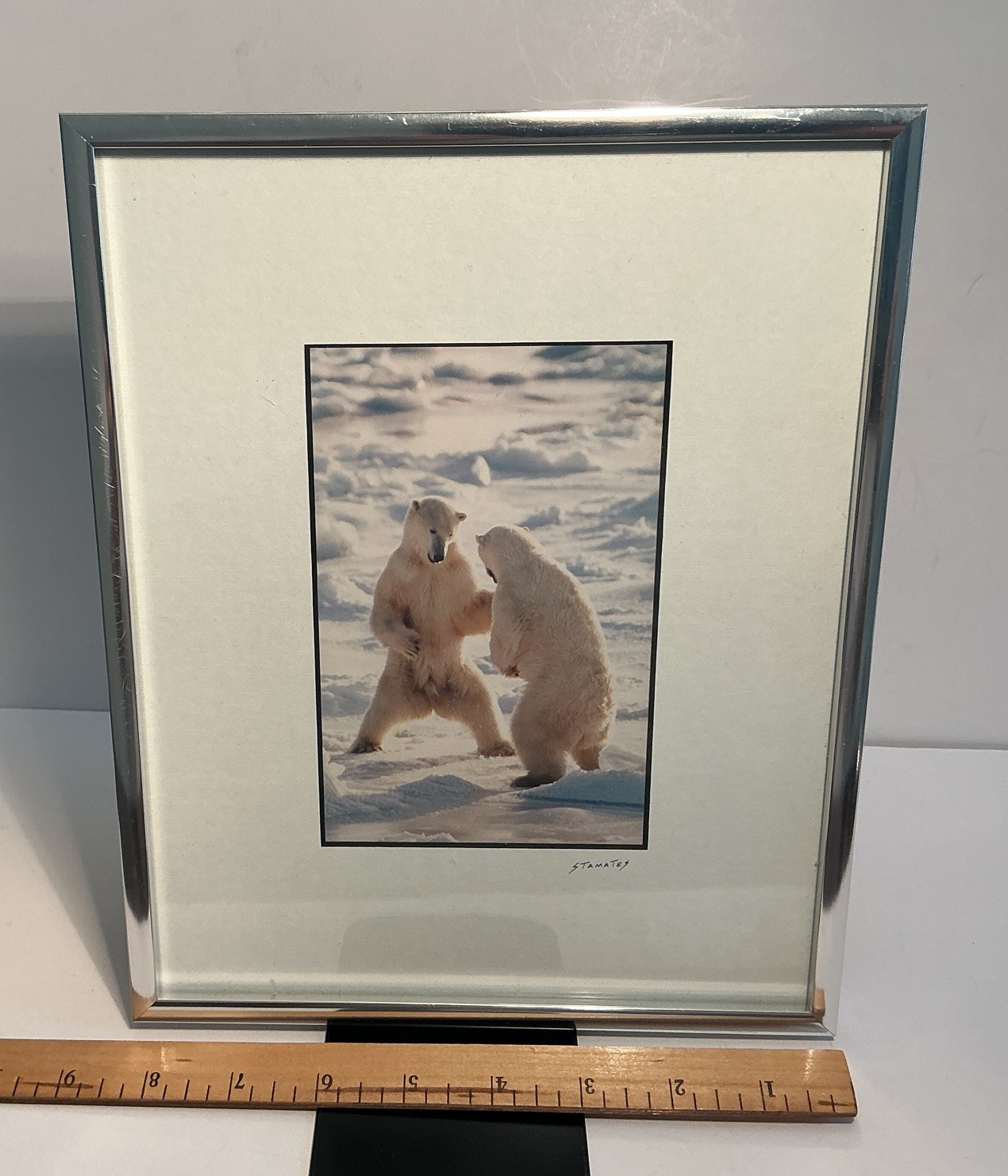 Vintage Photo Jim Stamates Polar Bear Sparring Framed Matted 10.25”x 8 3/8”