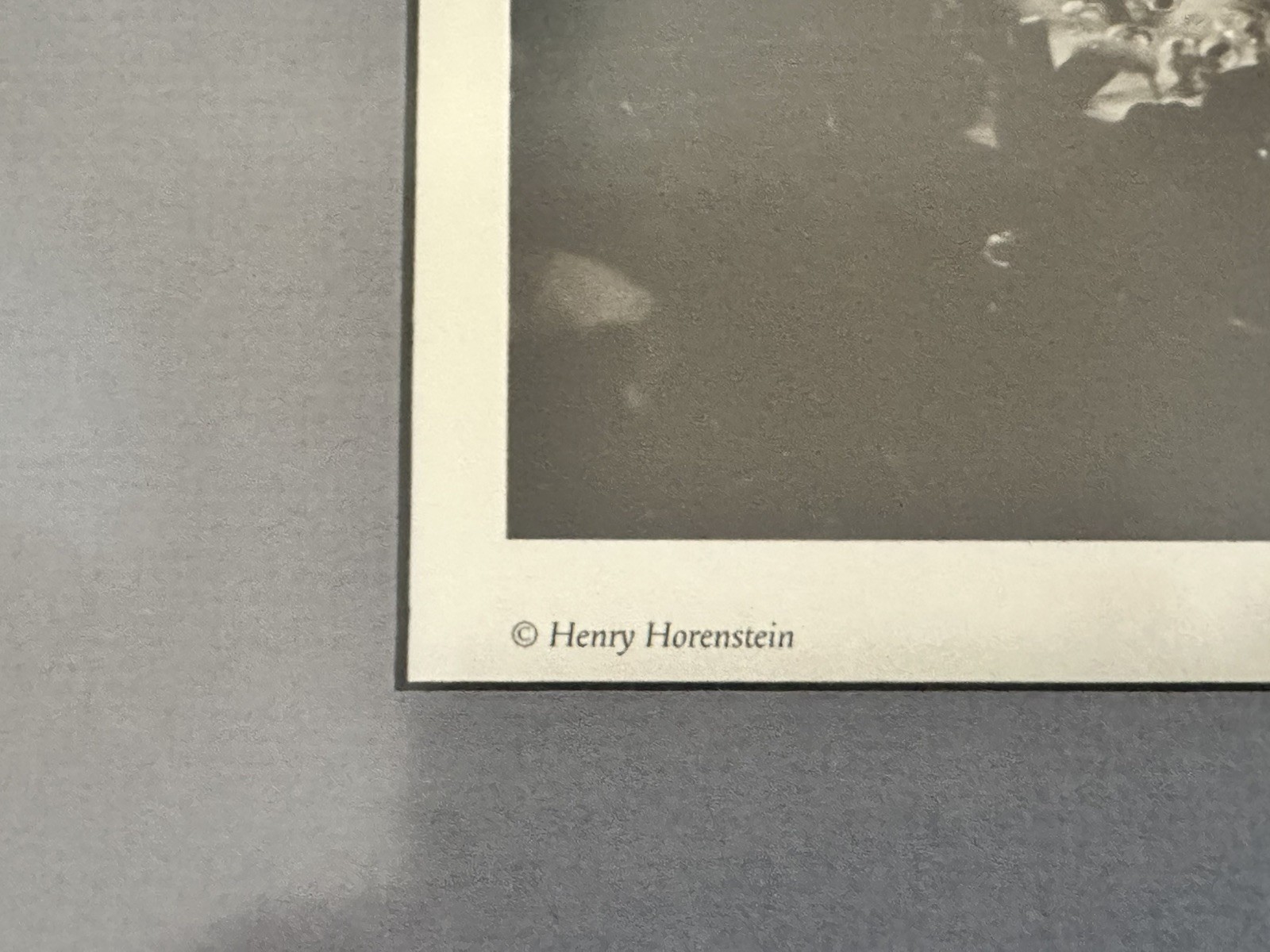 Henry Horenstein ‘Ringside, Harvard Club, 1976’ Framed Print Reproduction 8 X 10