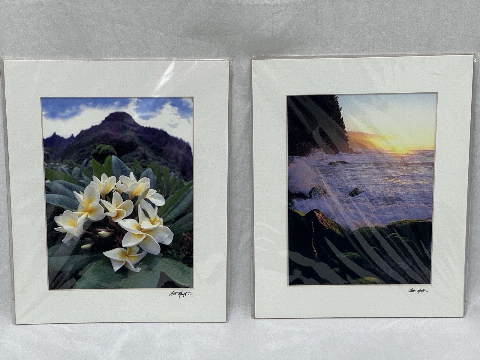 Kilahuea Hawaii Photography Art Photos 2 Scott Hanft Flowers Ocean 11 X 14 2000s