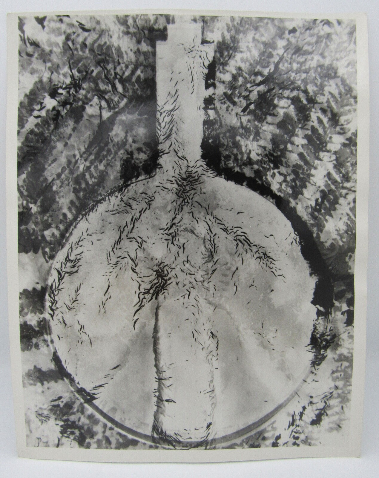 Vintage James Fitzsimmons silver gelatin photograph abstract modernist 8×10″