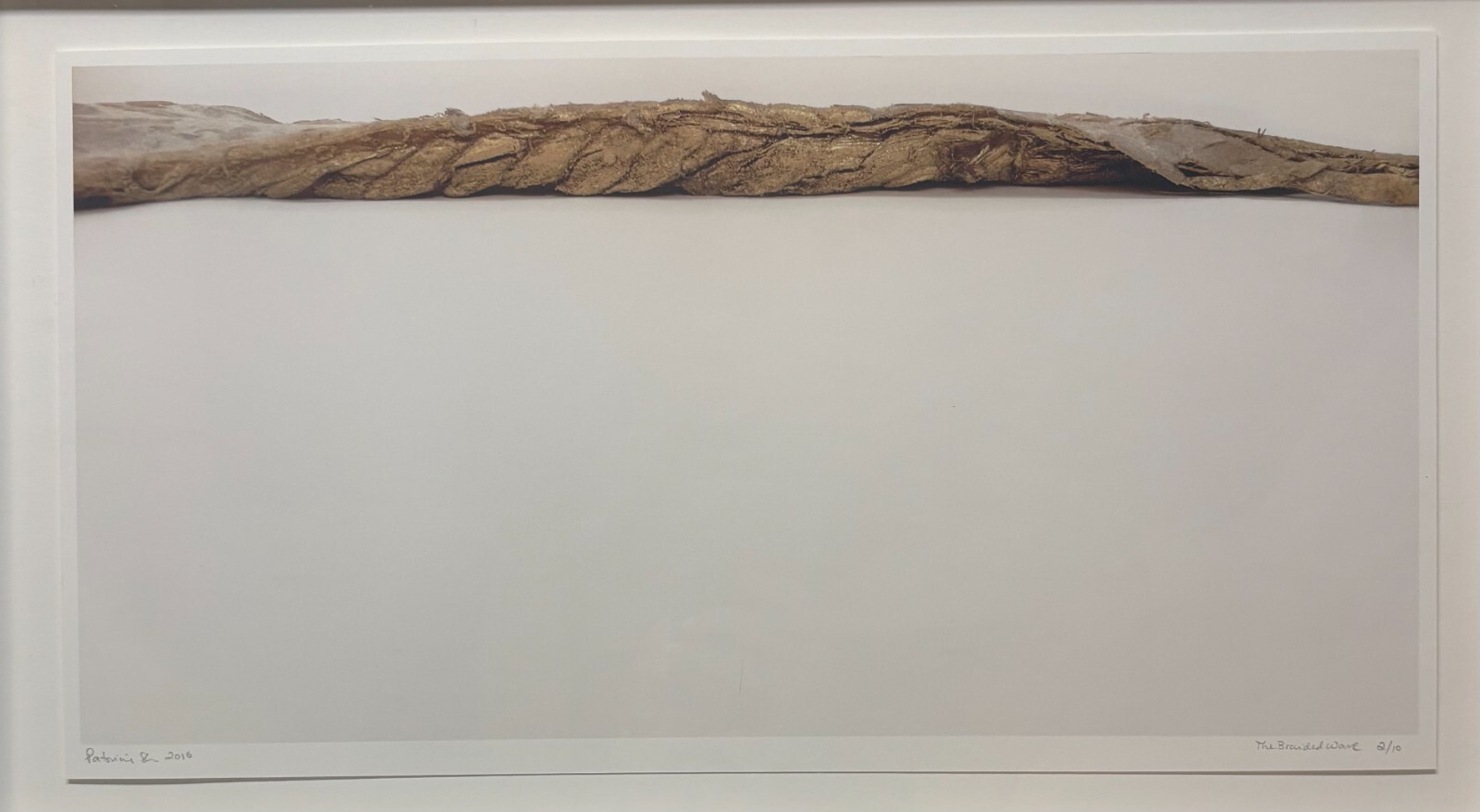 PATRICIA SILVA ‘The Braided Wave’ NATURALIST Abstract CONTEMPORARY Photograph
