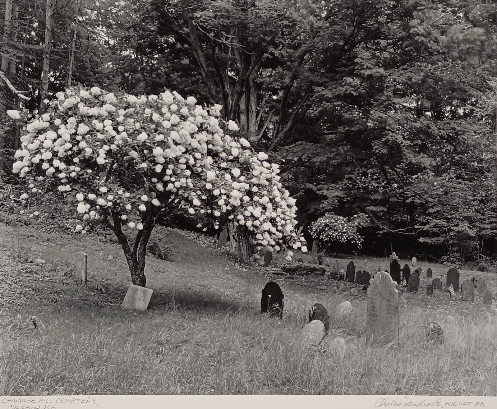 Large Format B&W Photo Chandler Hill Cemetery Colrain MA by Charles Fendrock