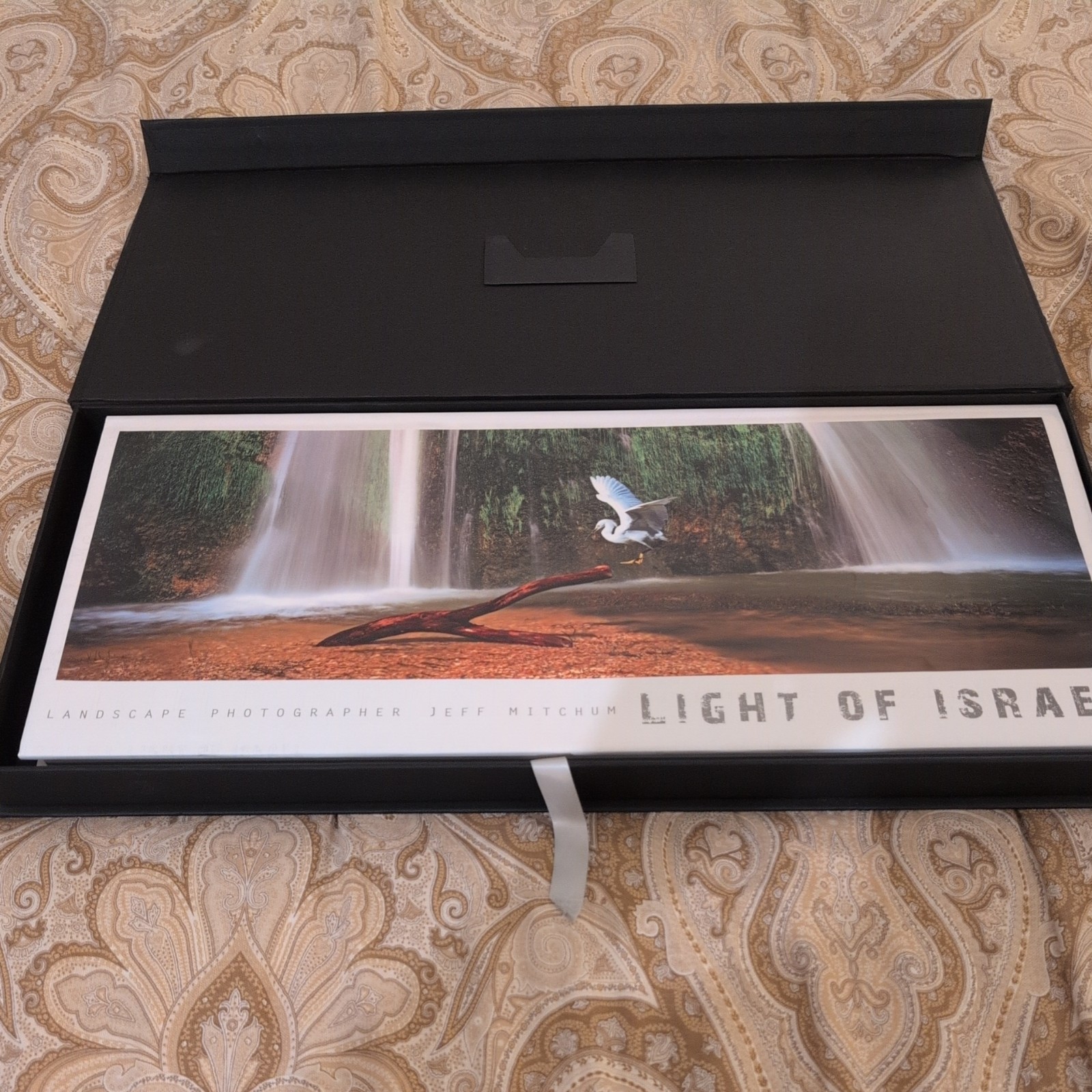 Light Of Israel By Jeff Mitchum