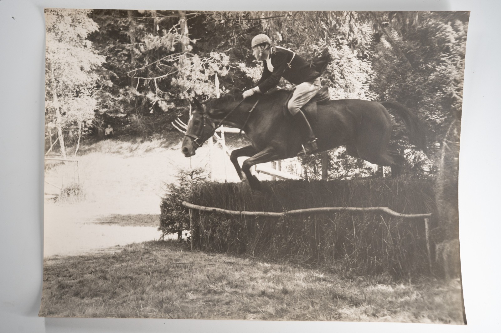 Film Photo France Equestrian Horse Show Jumping 1970 30X40CM